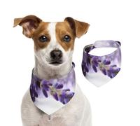 Tcoay Imprimé Lavande Vintage,Bavoir pour Animaux de Compagnie, écharpe, Bandana pour Chats et Chiens, Serviette pour Chiens, écharpe réglable pour Animaux de Compagnie,L
