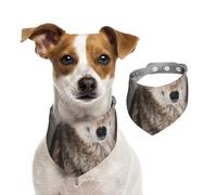 Tcoay Imprimé Loup Sauvage,Bavoir pour Animaux de Compagnie, écharpe, Bandana pour Chats et Chiens, Serviette pour Chiens, écharpe réglable pour Animaux de Compagnie,L
