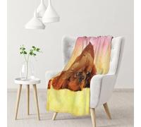 Tcoay Plaid décoratif Cavalier King Charles Spaniel, idéal pour canapé, lit ou Fauteuil, Format 76 x 102 cm (30 x 40 Pouces). Couverture de Voyage 76 x 102 cm (30 x 40 Pouces).