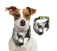 Tcoay Quatuor de Petits Chiots bergers australiens,Bavoir pour Animaux de Compagnie, écharpe, Bandana pour Chats et Chiens, Serviette pour Chiens, écharpe réglable pour Animaux de Compagnie,L