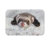 Tcoay Tapis de Salle de Bain Overlock, paillasson antidérapant et Absorbant, Motif Furet Mignon Qui dort