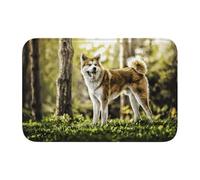 Tcoay Tapis de Salle de Bain Overlock, Tapis de Sol antidérapant et Absorbant, Motif Akita Inu, Chiens, HDR, été
