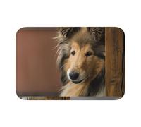 Tcoay Tapis de Salle de Bain Overlock, Tapis d'entrée, antidérapant, Absorbant, Motif Chiens à Poils Longs, Style Collie ou Lassie.