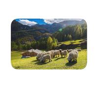 Tcoay Tapis de Sol antidérapant et Absorbant pour Salle de Bain, entrée ou Salon, Motif Animaux et Nature des Alpes suisses et du Valais, avec Un nid de Mouton à Nez Noir.