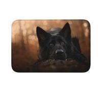 Tcoay Tapis de Sol antidérapant et Absorbant pour Salle de Bain, Tapis d'entrée, Motif Berger Allemand Noir et Bokeh automnal.