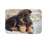 Tcoay Tapis de Sol antidérapant et Absorbant pour Salle de Bain, Tapis d'entrée, Motif Chiots Berger Allemand