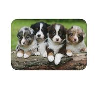 Tcoay Tapis de Sol antidérapant et Absorbant pour Salle de Bain, Tapis d'entrée, Motif Quatuor de Petits Chiots Berger Australien