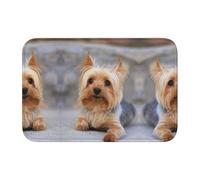 Tcoay Tapis de Sol antidérapant et Absorbant pour Salle de Bain, Tapis d'entrée, Tapis de Sol décoratif, Portrait d'un Yorkshire Terrier Miniature (Yorkie)