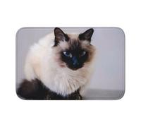 Tcoay Tapis de Sol antidérapant et Absorbant pour Salle de Bain, Tapis d'entrée, Tapis de Sol décoratif, Motif Chat Domestique à Fourrure (Bali)