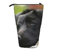 Tcoay Trousse à Crayons télescopique avec Motif de Chien Labrador Noir Mignon