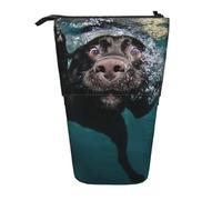 Tcoay Trousse à Crayons télescopique en Forme de Chien Labrador Noir nageant Debout