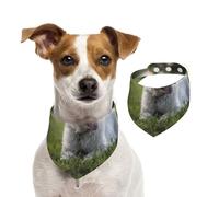 Tcoay Westie Lawn West Highland White Terrier Chiens,Bavoir pour Animaux de Compagnie, écharpe, Bandana pour Chats et Chiens, Serviette pour Chiens, écharpe réglable pour Animaux de Compagnie,L