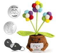 TCRZHHRX Fleur au Crochet Fait Main avec Carte d'Encouragement + Porte-Clés Poème - Kit Cadeau Émotionnel Réconfortant pour Anniversaire/Fête des Mères (Fleur de pâtisserie - Multicolore)