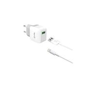 TCUSBLIGHT - Adaptateur secteur - 2.4 A (USB) - sur le câble : Lightning