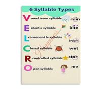 TCYNNQVD Language Arts Poster Syllable Types Phonics Art | Ideal for elementary reading intervention or homeschool literacy wall(Unframed,08x12inch(20x30cm))