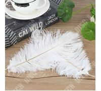 Td® 50 Pièces Plumes D'autruche 30-35cm Accessoires Bijoux Plumes De Mariage Faits À La Main Artisanat Beau Blanc