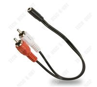 TD? C?ble 419004 Adaptateur 2 RCA male- C?ble Jack 3.5 mm femelle