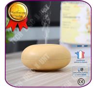 Td® Diffuseur D'huiles Essentielles Forme De Roche Galet Pulvérisateur D'huile Salle De Bain Décoration Intérieur Purification Air