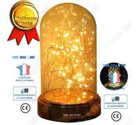Td® Guirlande En Bocal Led Économie D'énergie Noël Fêtes Atmosphère Cadeau Utilisation Simple 2 Lumières Blanche Et Jaune Multicolore