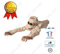 Td® Halloween Decoration Momie À Commande Vocale Rampant Festival Fantôme Zombie Fantôme Appelé Accessoires De Festival De Maison Ha