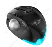 TD Souris trackball noire souris boule ergonomique angle réglable curseur précis micro-mouvement souris d'ordinateur rechargeable