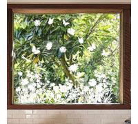 TDCuizent Décalques de fenêtre statiques réutilisables avec visibilité double face pour salle de bain, entrée et zones commerciales, motif floral et papillon, gris, 30 x 90 cm (B)