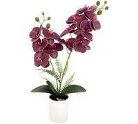 TDCuizent Orchidée phalaenopsis artificielle en pot avec pétales de colle douce et base stable pour décoration de maison, bureau, salon (sourcil violet)