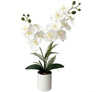 TDCuizent Orchidée phalaenopsis artificielle en pot, orchidée papillon réaliste avec pétales de colle douce et base stable pour décoration de maison, bureau, salon (blanc)