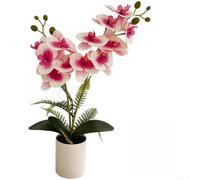 TDCuizent Orchidée phalaenopsis artificielle en pot, orchidée papillon réaliste avec pétales de colle douce et base stable pour décoration de maison, bureau, salon
