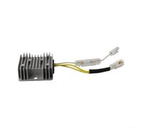 TDCuizent Régulateur de tension automatique 12 V AVR pour moteurs diesel Yanmar L100 10HP et 186F - Contrôleur de charge de sortie stable pour pièces de générateur - Construction robuste pour une