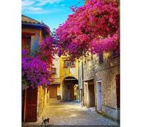 TDFERAN 40x50CM Broderie Diamant Ville Diamond Painting Maison de Campagne, Diamant Painting Fleur Campagne, Ville de Santorin Peinture Strass Village, Peinture par Numero Ville