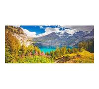 TDFERAN Diamond Painting Paysage Nature Alpes Suisses Perle Diamant a Coller Paysage Montagne Tableau Diamond Broderie Montagne Lac Océan Diamant Fleurs Herbe pour La Décor Murale de Maison 110x50cm