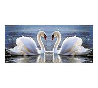TDFERAN Peinture Diamant avec Cygnes Tableau Perle Diamant Cygne Broderie Diamant 110x50cm avec des Cygnes Diamond Painting Grand Format Animaux Kit Peinture Diamant Animale Mural Décor Cadeau