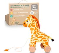 Tdrfl-Pull Along FriendsPull Along Toy For BabyTraditional ToysEasy To CleanGina The Giraffe