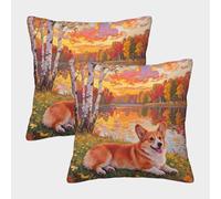 TDSNKAVHB Corgi Gallois de Pembroke 3D Printed Throw Pillow Home Decorative Square Cushion Animal de Compagnie Chien Standard Pillowcase Set of 2 for Home Bed Living Room Sofa 45x45cm