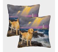 TDSNKAVHB Labrador Retriever 3D Printed Pillow Case Home Decorative Square Cushion Animal de Compagnie Chien Festival Decor Gift Set of 2 Case Set for Couch Sofa Bedroom Living Room 50x50cm