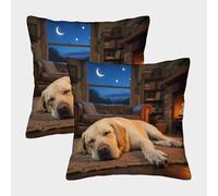 TDSNKAVHB Labrador Retriever 3D Printed Pillow Case Home Decorative Square Cushion Animal de Compagnie Chien Festival Decor Gift Set of 2 for Home Bed Living Room Sofa 50x50cm