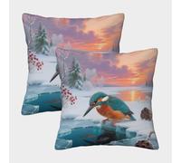 TDSNKAVHB Le Kingfisher 3D Printed Throw Pillow Decorative Square Cushion Oiseaux Cushion Cover Set of 2 for Home Bed Living Room Sofa 40x40cm