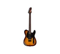 TE-200 guitare électrique Tobacco Sunburst RW