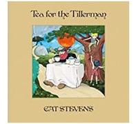 Tea For The Tillerman
