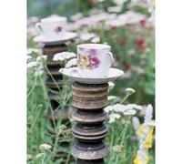 Tea Gardens