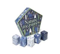 TEA SHOP - Set Nature Treasures - Assortiment de thés Variés - Différents saveurs - Idéal pour un cadeau