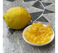 Tea Soul Ours gommeux au citron
