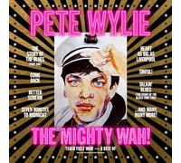 Pete Wylie & The Mighty Wah – Teach Yself Wah / The Best of Pete Wylie – Vinyle LP