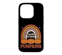 Teacher of Little Pumpkins Retro Rainbow Fall Coque pour iPhone 14 Pro