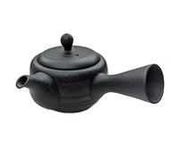 TeaClub Kyusu Théière japonaise en céramique avec passoire en acier inoxydable Noir 200 ml