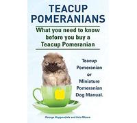Teacup Pomeranians. Miniature Pomeranian Or Teacup Pomeranian Dog Manual. What You Need To Know Before You Buy A Teacup Pomeranian.