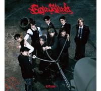 &team - Go In Blind - Regular Edition [Compact Discs] Japan - Import