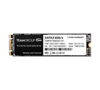 Team Group SSD interne MS30 M.2 2280 SATA 6 Gb/s 256 Go Noir