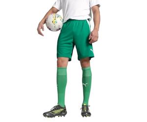 teamLIGA Shorts,Pepper Green-Puma Wh,USM
